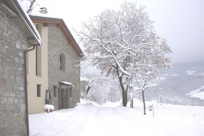 ExteriorWinter