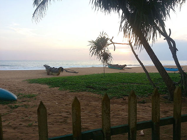 View from the beach house garden