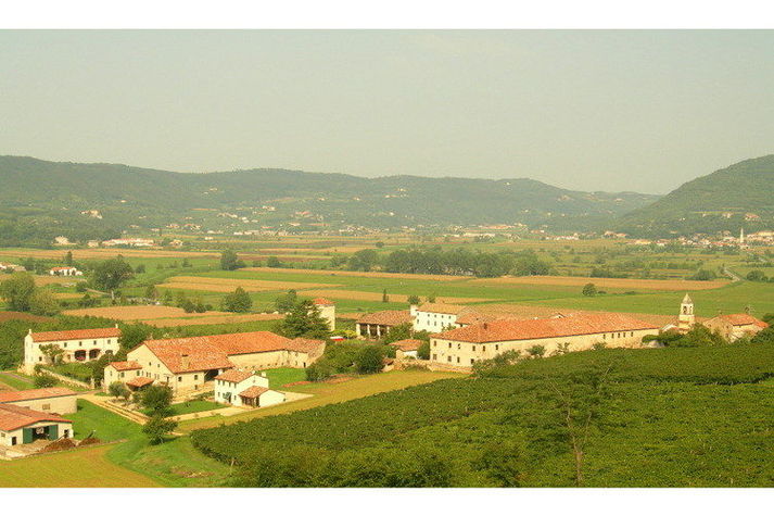 ViewSummer