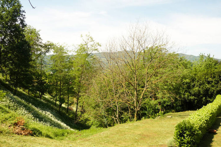 GardenSummer