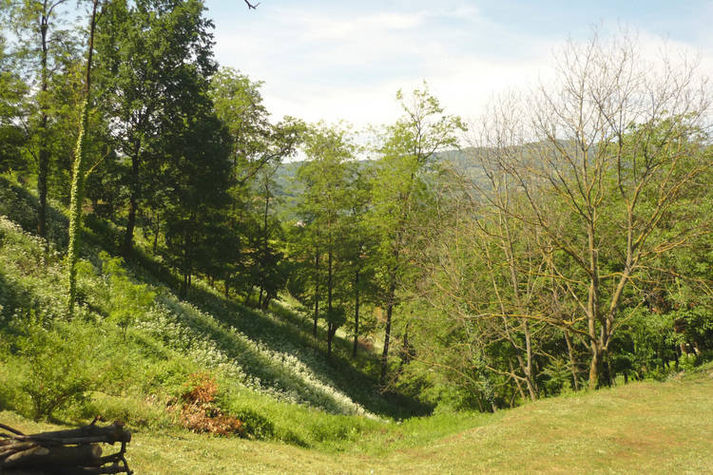 GardenSummer