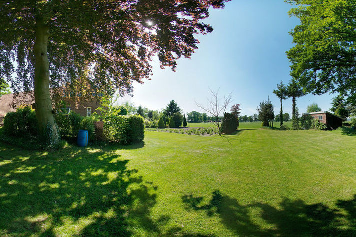 GardenSummer