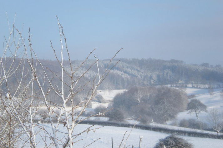 GardenWinter