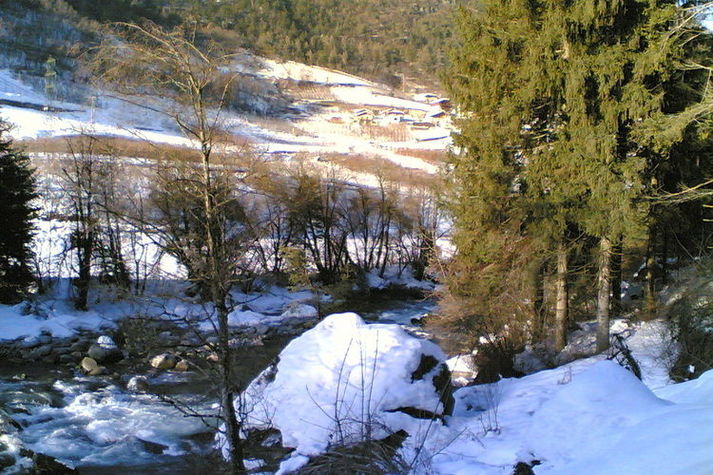 GardenWinter