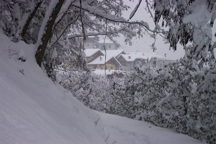 GardenWinter