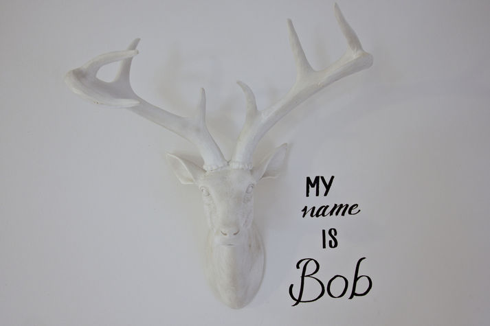 Bob