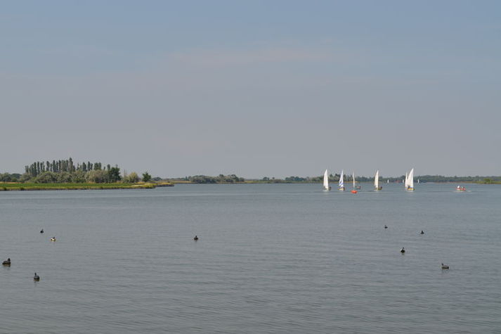 AreaSummer5KM