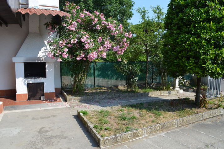 GardenSummer