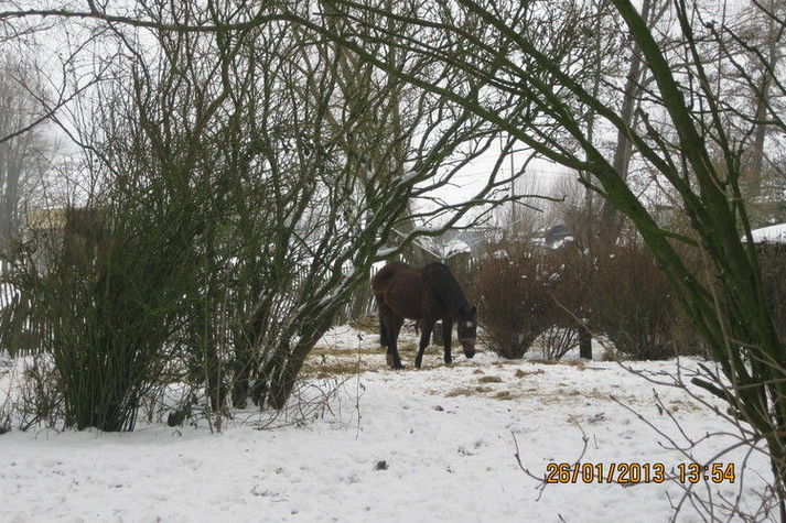 ExteriorWinter