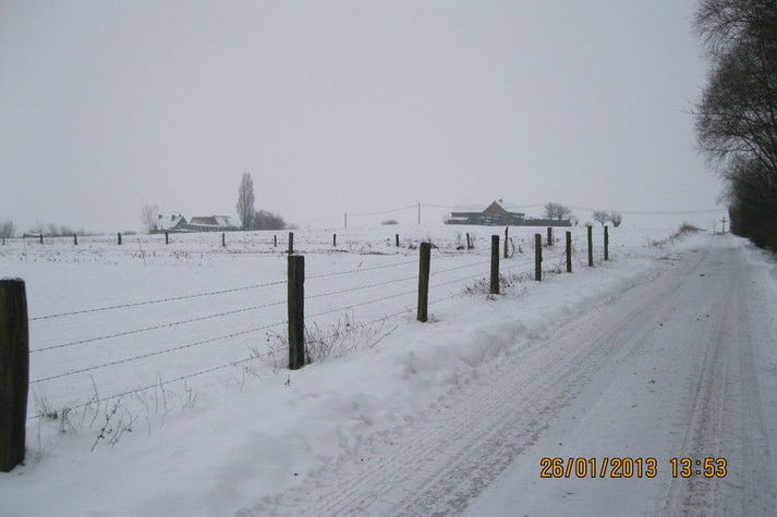 ExteriorWinter