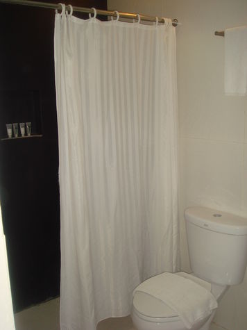 Shower Area/Toilet