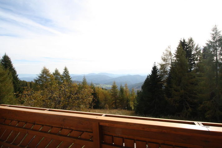 ViewSummer