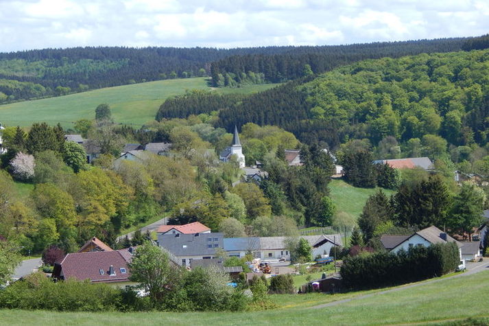 ViewSummer