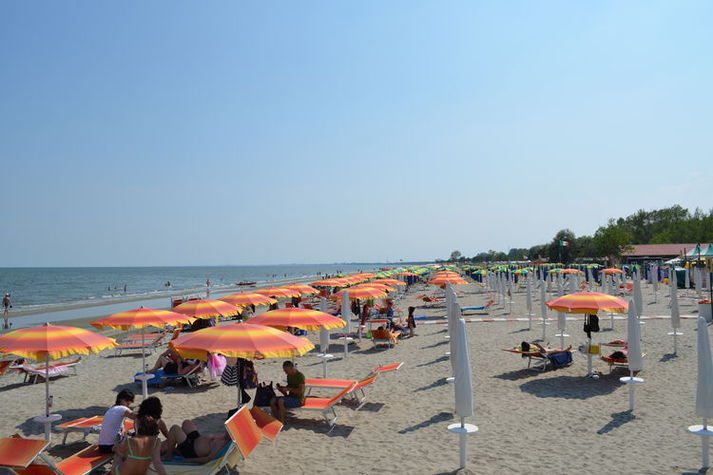 AreaSummer1KM