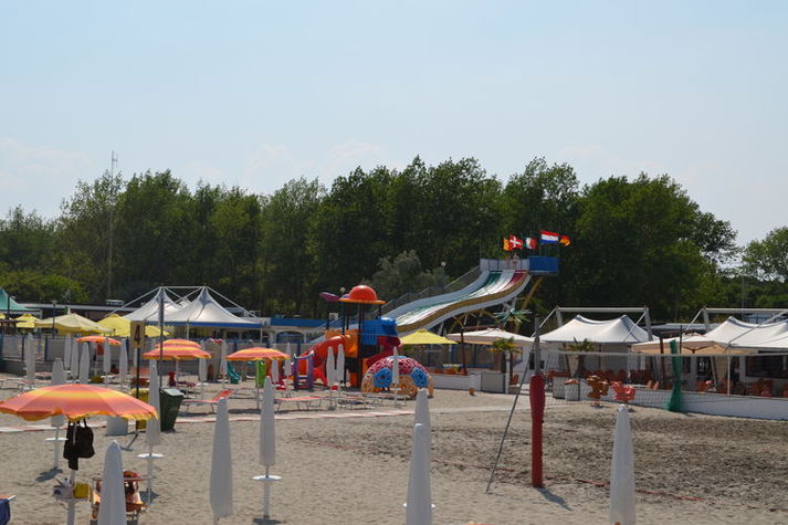 AreaSummer1KM