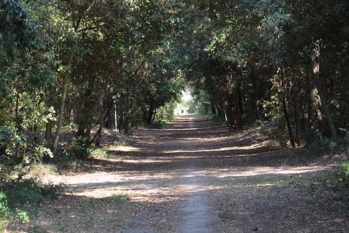 AreaSummer1KM