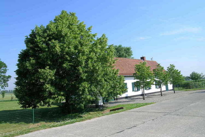ExteriorSummer