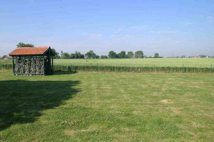 ViewSummer