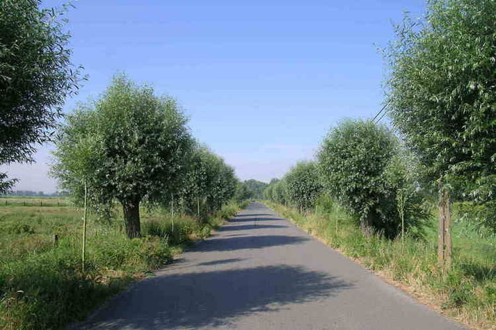 AreaSummer1KM