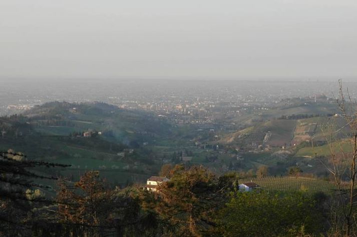 ViewSummer