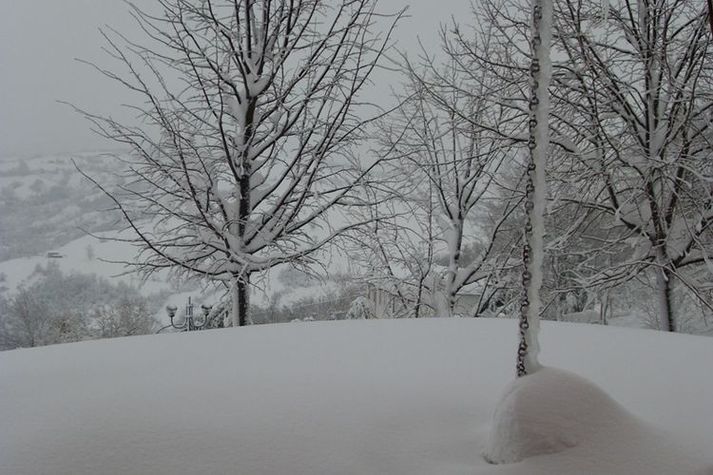 GardenWinter