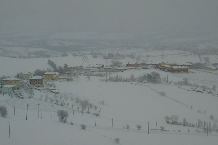 ViewWinter