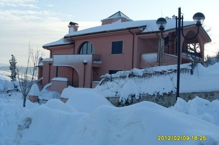 GardenWinter
