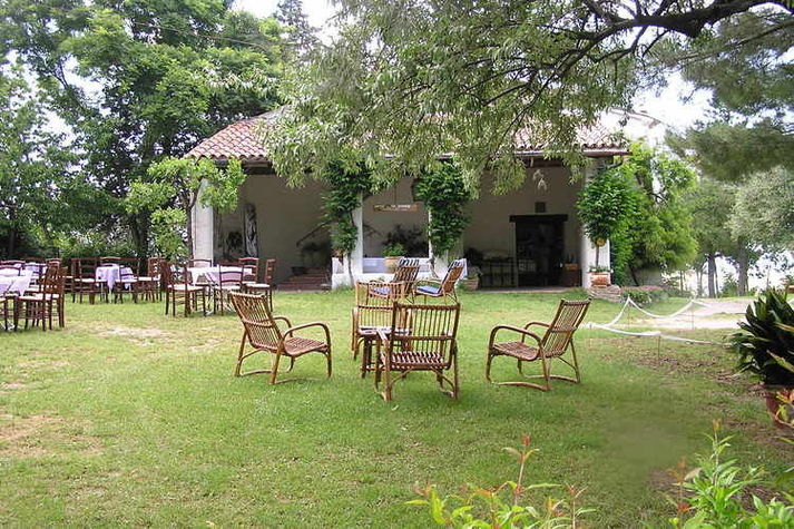 GardenSummer