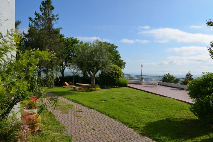 GardenSummer