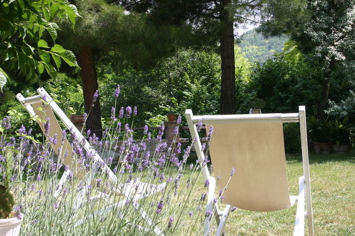 GardenSummer