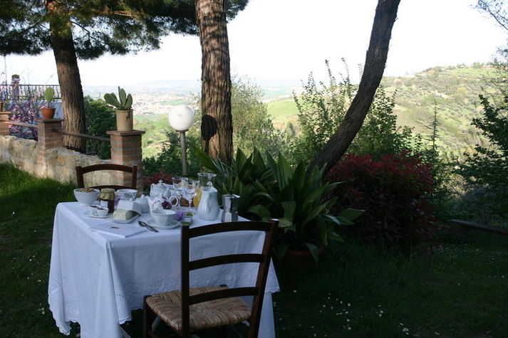 GardenSummer