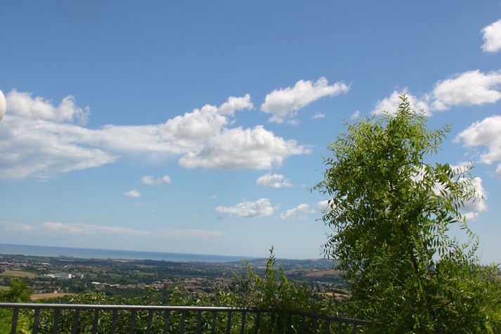 ViewSummer