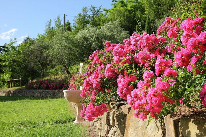 ExteriorSummer