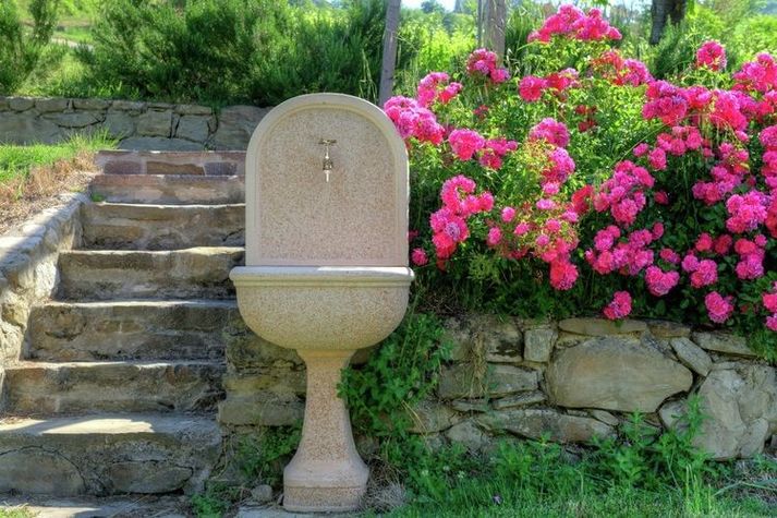 GardenSummer