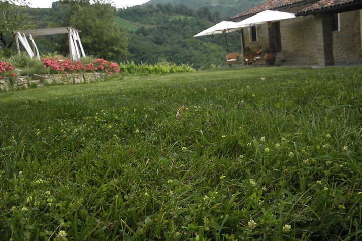 ExteriorSummer