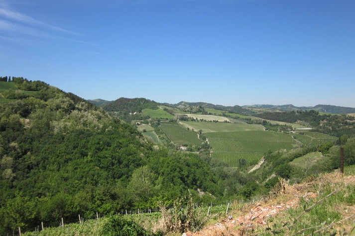 ViewSummer
