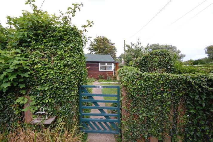 GardenSummer