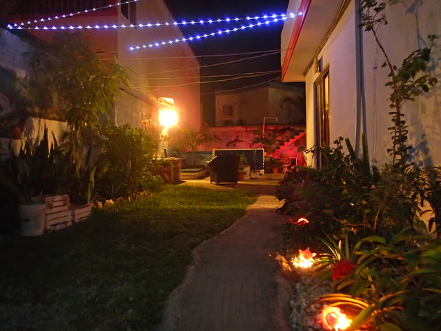 Backyard at night