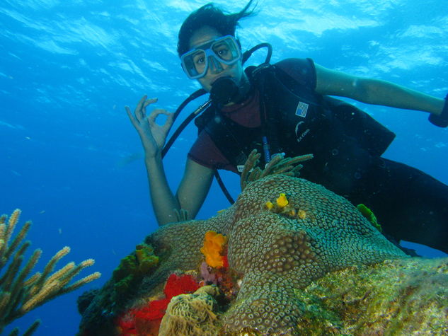 Come dive with us