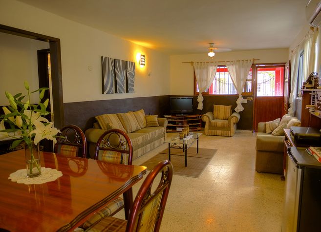 Living room of the downstair appartment