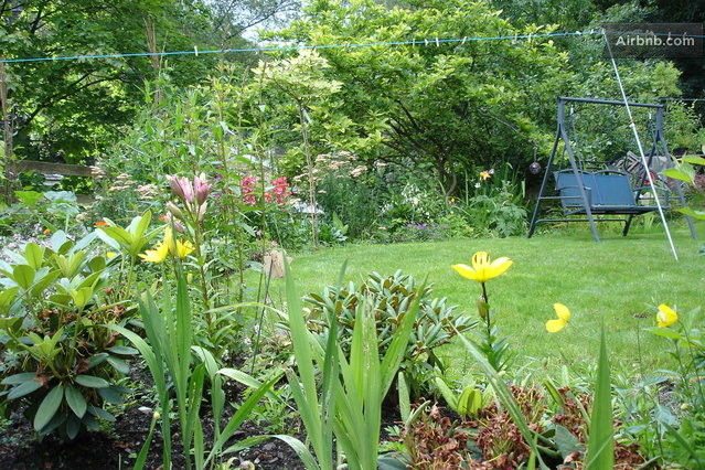 Our garden