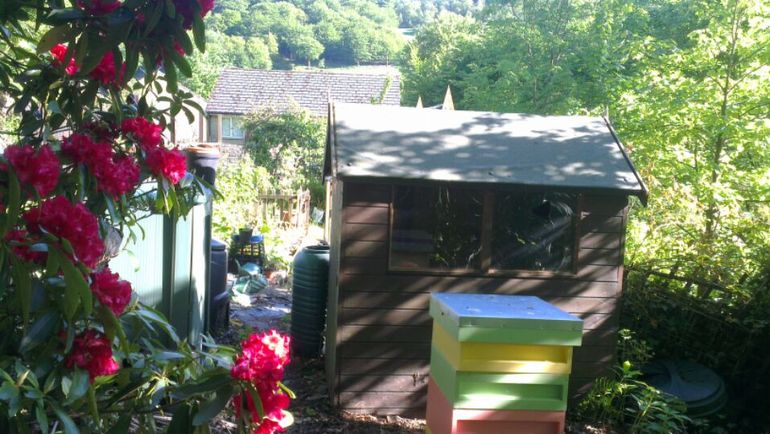 beehive at the bottom of the garden