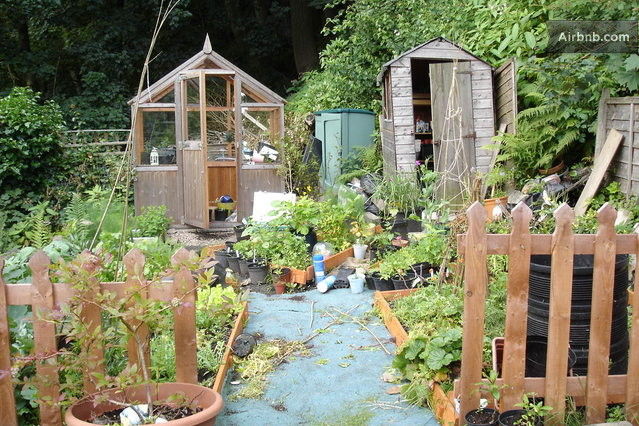 the veg patch! near the bee hive...