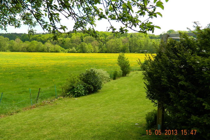 ViewSummer