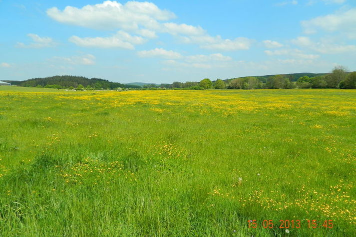 ViewSummer