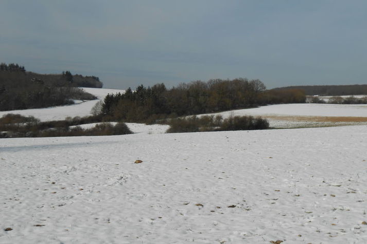 AreaWinter1KM