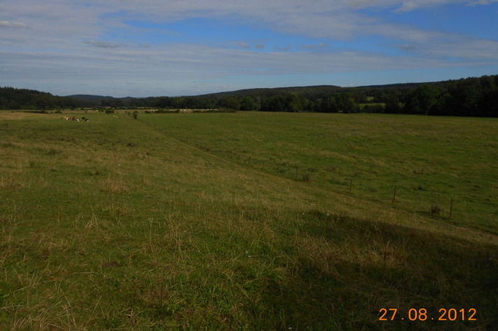 ViewSummer