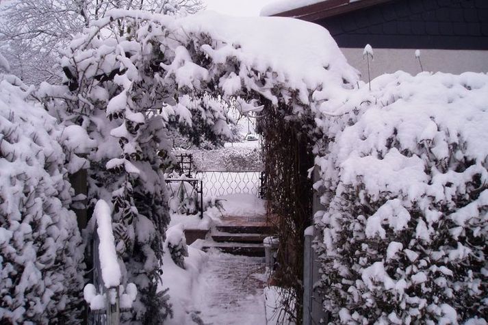 GardenWinter