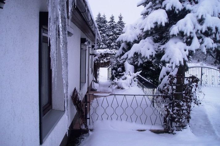 GardenWinter