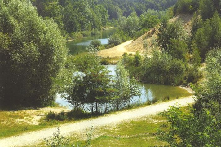 AreaSummer5KM